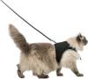 Harnais pour gros chat type Maine Coon Soft XXL noir avec laisse