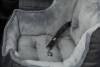 Siège de voiture ultra-confort gris pour chien