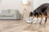 Jouet Snack Popper pour chien 21 x 12 cm