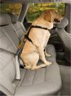 Sangle attache ceinture de sécurité voiture pour chien
