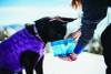 Gamelle de voyage pliable pour chien bleu