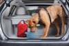 Sac de transport Croquettes Kibble Rouge pour chien