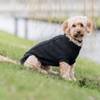 Pull Kenton noir pour chien Trixie