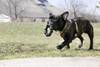KONG Jouet Extreme Ring XL pour Chien