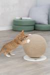 Griffoir boule pour chat