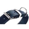 Collier pour chien Aalborg Spécial bleu Hunter