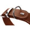 Collier Aalborg Spécial cognac Hunter pour chien