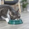 Gamelle en plastique ø11 cm pour chat