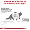 ROYAL CANIN Croquettes Veterinary Fibre Gastro-intestinal pour Chat