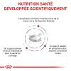 ROYAL CANIN Croquettes Feline Diet Mobility Sac de 2 kg pour Chat