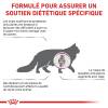 ROYAL CANIN Croquettes Diet Feline Santé Rénale pour Chat
