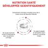 ROYAL CANIN Croquettes Diet Feline Santé Rénale pour Chat