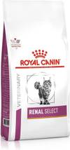 ROYAL CANIN Rénal Select chat : Croquettes molles