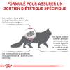 ROYAL CANIN Rénal Select chat : Croquettes molles