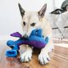 KONG Peluche Woozles Blue Medium pour Chien