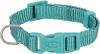Collier Premium pour chien Aqua