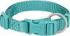 Collier Premium pour chien Aqua