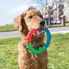 KONG Jouet Twistz Ring pour Chien