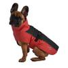 Manteau à doublure polaire pour chien