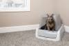 Bac à litière auto-nettoyante ScoopFree avec couvercle PetSafe pour Chat