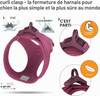 Curli Harnais Boucle Air-Mesh violet pour Chien