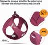 Curli Harnais Boucle Air-Mesh violet pour Chien