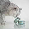Cat's Love Pâtée Pure Filet Poulet 100 g pour Chat