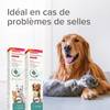 Complément alimentaire IntestoPro Chat et Chien Beaphar
