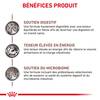 ROYAL CANIN Sachet fraîcheur Gastro intestinal pour chat 12 x 85 g