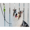 Distributeur sac à crottes pour chien