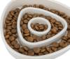 Gamelle anti-glouton pour chat 0,35 L