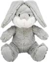 Peluche Lapin 25 cm pour Chien