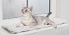 Tapis pour chat rebord fenêtre anti-stress 90 x 28 cm