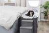 Maison pour chat avec escalier design 119 cm
