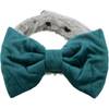 Collier nœud papillon velours pour chien