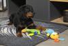 Tapis chauffant isolant, capte la chaleur pour chien