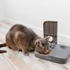 Distributeur automatique 2 repas pour chat PetSafe