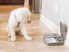 Distributeur automatique 2 repas pour chat PetSafe
