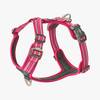 Harnais Walk Air confort ROSE DOG Copenhagen pour chien