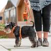 Harnais Walk Air confort orange DOG Copenhagen pour chien