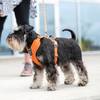 Harnais Comfort Walk Pro anti-traction avec poignée pour chien orange DOG Copenhagen