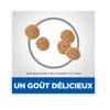 Hill's Science Plan croquettes au poulet pour chat