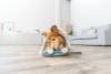 Jouet à friandises dental avec poignée pour chien 31 cm