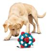 KONG Jouet Rewards Tinker M/L pour Chien