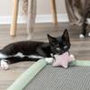 Tapis griffoir pour chaton avec jouet