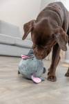 Peluche mémoire de forme, jouet pour chien Éléphant