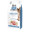 Croquettes pour Maine Coon haute teneur en protéines