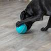 Jeu d’occupation pour chien avec balle distributeur de friandises