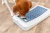 Jeu d’occupation pour chien, stimulation de l’intelligence