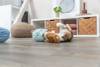 Peluche pour chiot doudou